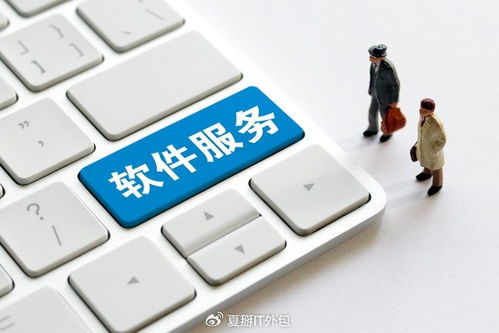 軟件開(kāi)發(fā)板塊震蕩走強(qiáng)，上海IT運(yùn)維外包迎發(fā)展新機(jī)遇